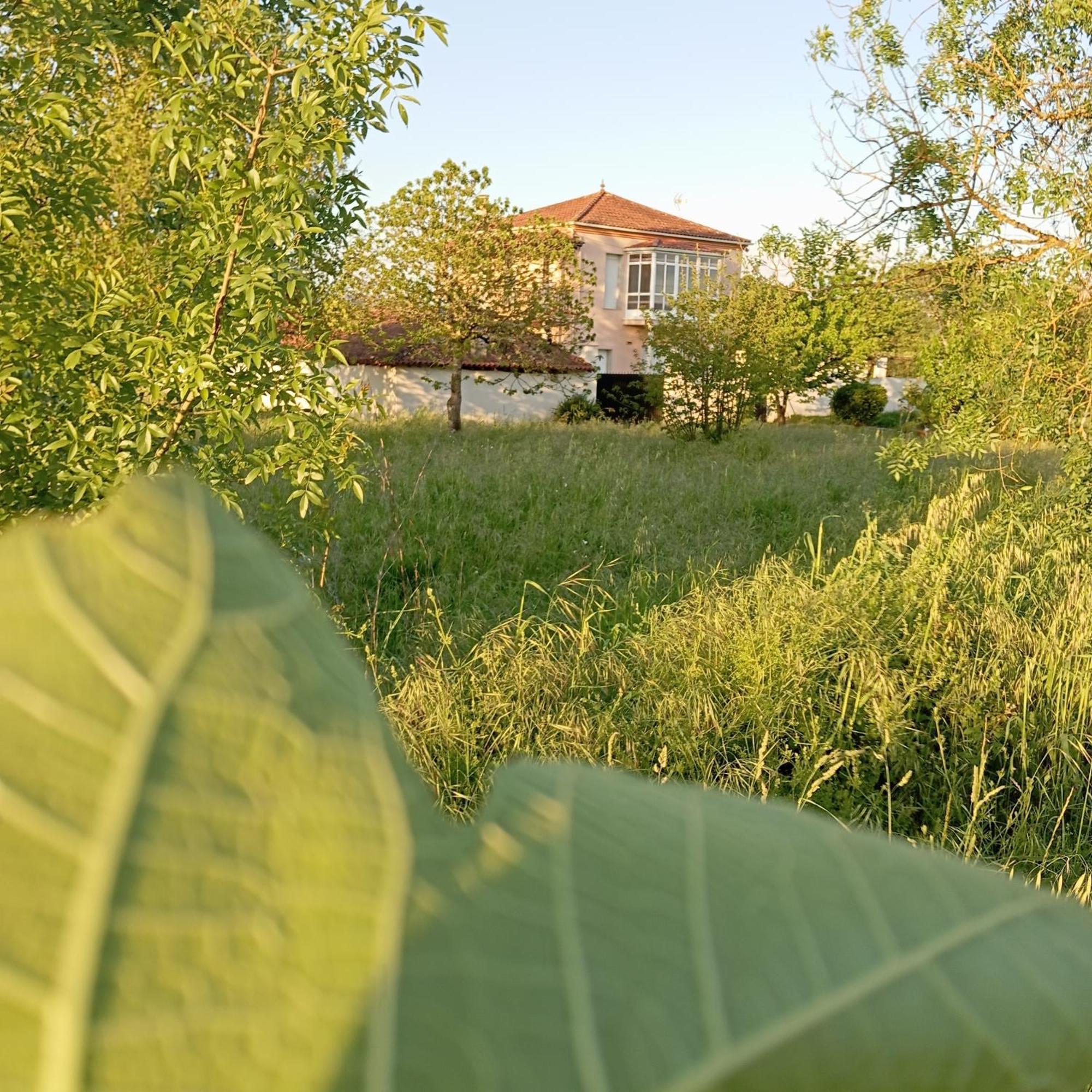 O Toxal Villa Monforte De Lemos Bagian luar foto